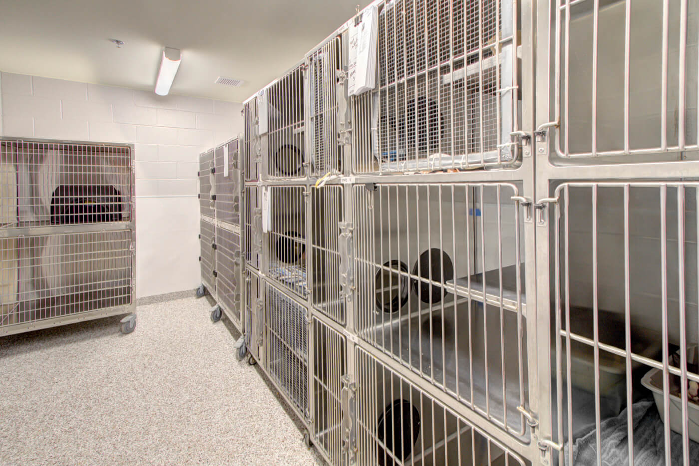 Gaston County Police Animal Care Enforcement Center – Stewart Cooper Newell  Architects
